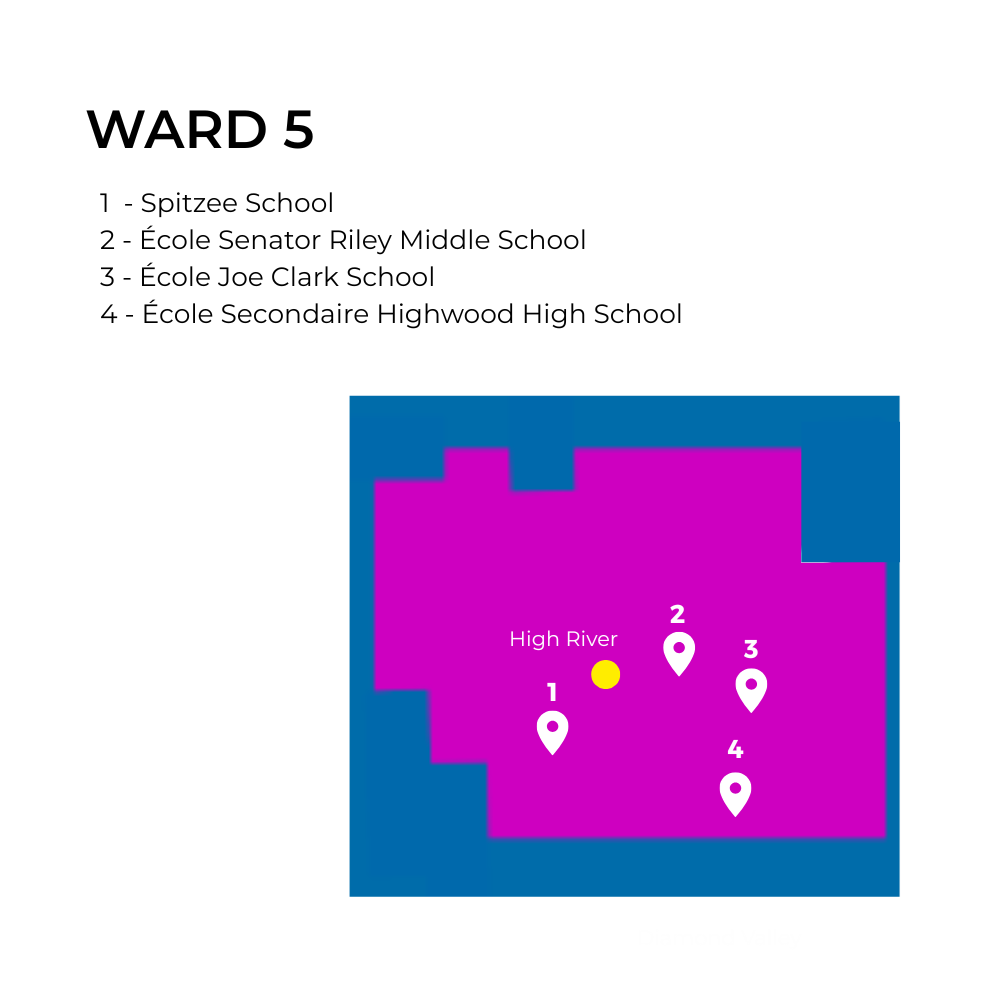 2025-ward-map-simplified-ward-5.29b6c425124.png