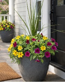 flower-pot.535bcb27317.jpg
