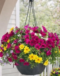 flowers2.a2569027316.jpg