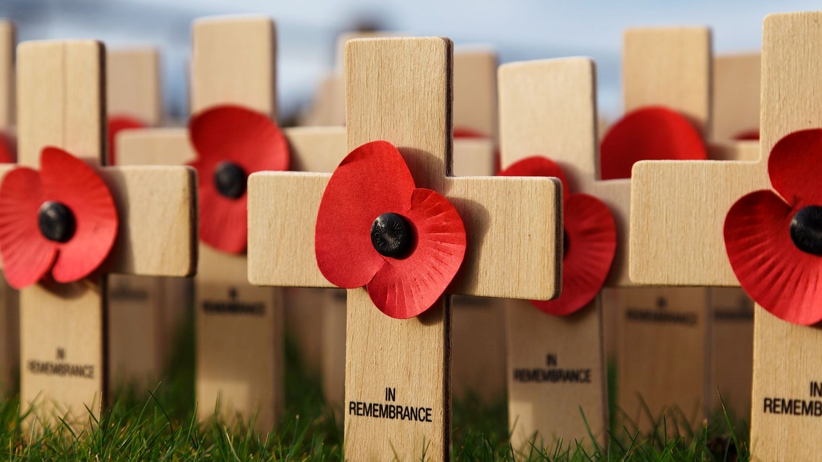 Poppies on crosses