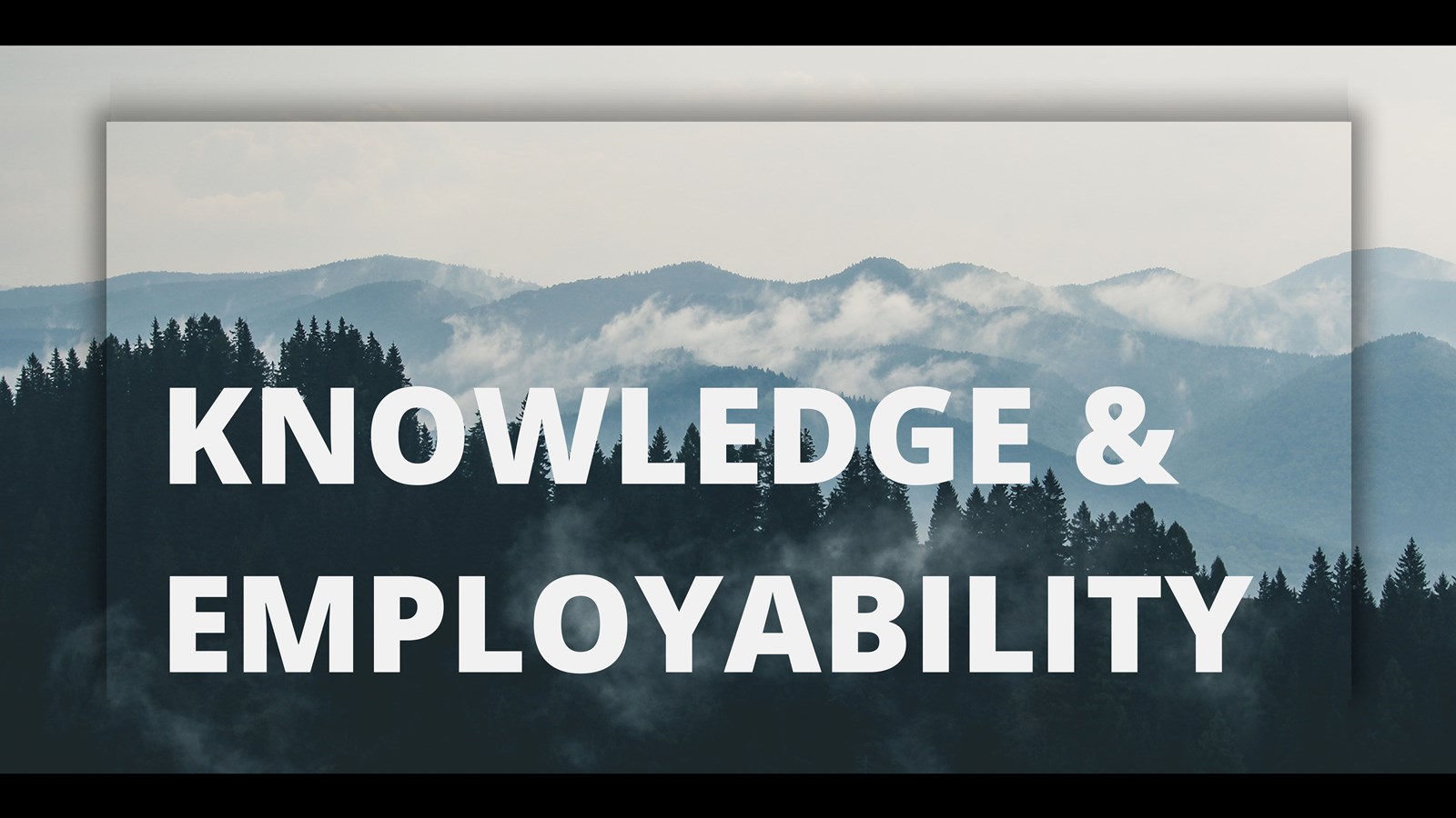 Knowledge & Employability